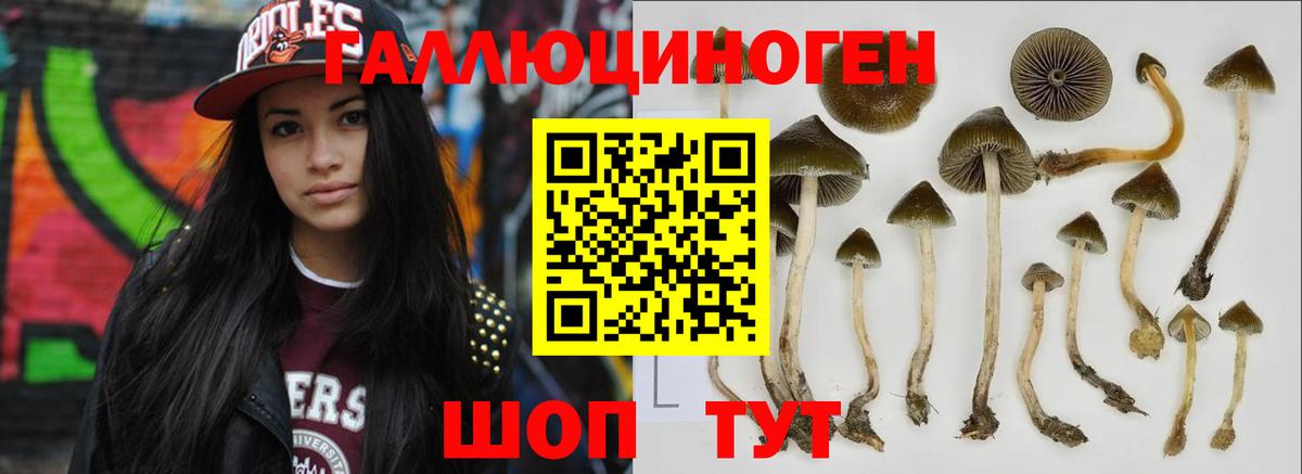 Медногорск  Галлюциногенные грибы MAGIC MUSHROOMS  Вход с VPN  Псилоцибиновые грибы Psilocybine cubensis 