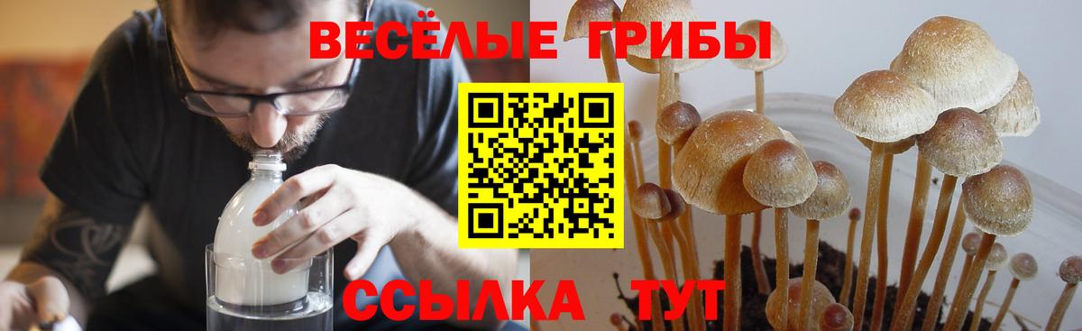 Псилоцибиновые грибы ЛСД Медногорск